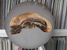 Alien - End Titles Soundtrack  12