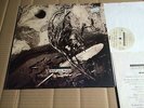 DAVID SYLVIAN - SECRETS OF THE BEEHIVE- LP + OIS (1 x 2 cm seamsplit) - EU 1987