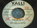 ROCKABILLY 45 RPM RECORD BY-TERRY AND THE PIRATES-WHAT DID HE SAY