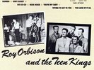 Roy Orbison - And The Teen Kings Vinyl LP AKASHIC RECORDS/Cargo NEW