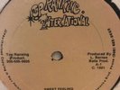 Love Joys - Sweet Feeling 12” Vinyl Record Rare Roots Reggae UK VG+