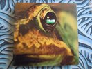 TOAD SAME FIRST SWISS PRESSING ON BROWN LABEL HALLELUJAH RECORD MINT