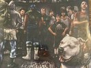 Skarhead Dreams Don't Die LP VINYL NYHC Agnostic Front Madball H2O New Sealed