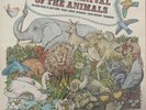 Camille Saint-Saëns - The Great Carnival Of The Animals (Vinyl) Lp Rare In Ex+