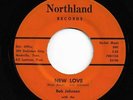 Teen Loner 45 BOB JOHNSON & ELIMINATIONS New Love/All These Things Northland MP3