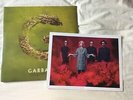 Garbage - Strange Little Birds - Double Vinyl LP w SIGNED print
