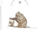 KORN-EVOLUTION LT. COLOR VINYL 7