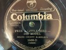 Columbia 15498D Roane County Ramblers JOHNSON CITY RAG 78 rpm E+ Country TN 1929