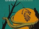 Guster-Ganging Up On The Sun (Importación USA) VINYL LP NUEVO