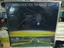 BLUE SYSTEM CAMINANDO EN UN ARCO IRIS RARE LP ARGENTINA UNPLAYED 1988