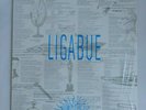 LP / LIGABUE - OMONIMO (RARO   - PERFETTO)