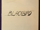 BLACKBIRD s/t Self Titled LP PRIVATE Folk Pysch Acid UNKNOWN Rare Listen HEAR