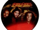 Bee Gees Spirits Having Flown - Sti... USA picture disc LP vinyl  record