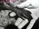 DEAD KENNEDYS - PLASTIC SURGERY DISASTERS LP