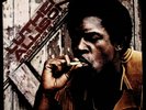 Luther Allison Bad News Is Coming LP white label promo near mint vinyl