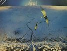 Shakatak Night Birds + Poster vinyl LP album record UK POLS1059 POLYDOR 1982