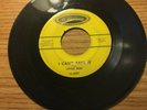 LIL LITTLE BOB CAMILLE 45 I CAN'T TAKE IT / THE HIGH ROAD LA LOUSIANNE 8087 SOUL