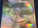 BEE GEES PROMOTIONAL VINYL LP (NEW/SEALED) Very Nice Item For A Fan/For Display