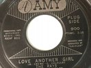 Northern Soul 45 RARE The Rays w/ Hal Miller PROMO Love Another Girl