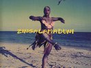 Arrested Development - Zingalamaduni - ID34z - CTLP 42