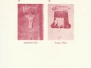 Appendix Out / Songs: Ohia ?– Split - Vinyl Single 7