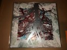 Silversun Pickups Widow's Weeds Deluxe Limited Edition Color Vinyl Record LP
