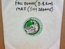 UNRELEASED? MAD RAGGA JON FALL DOWN ON ME RMX DAY DREAMS DUBPLATE ACETATE 10