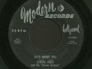 Blues 45 ELMORE JAMES Wild About You MODERN Hear