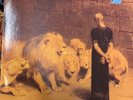 The Sound - from the lions mouth