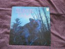 HUNGRY WOLF by Hungry Wolf 1970 Prog Psych classic Phillips album 6308009