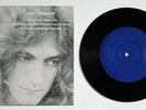 LED ZEPPELIN That's the Way (Live) 7