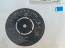 The Kirkbys - 'It's A Crime' - (RCA1542) Great Example Of 60's Mersey Sound (EX)