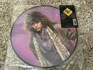 Bon Jovi Slippery When Wet picture disc LP vinyl album record USA 8308221M1