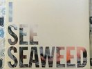 The Drones - I See Seaweed 2LP Vinyl