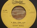 Sonny Burns -A Real Cool Cat- Rockabilly 45 on Starday - Hear