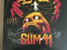 Sum 41 Order In Decline Limited Edition Signed Yellow Vinyl  LP