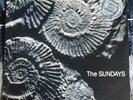 The Sundays- reading, writing and arithmetic rare unplayed picture disc vinyl LP
