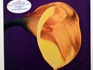 SWANS - The Burning World 1989 PROMO VINYL LP  Lyric Inner sleeve - Hype Sticker