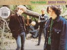 The Pastels - Sittin` Pretty ( LP + Poster - EX )