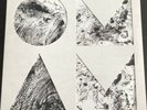 Of Monsters and Men - Beneath the Skin [2 LPs, 180 g clear vinyl]