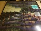 Fleetwood Mac - The Alternate Tango In The Night Record Store Day 2018 RSD Vinyl