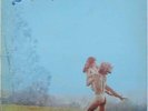 MORNING DEW ORIG GARAGE FUZZ PSYCH FOLK ROCK WLP ROULETTE BELL SOUND 970 LP HEAR