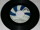 HOLY GRAIL GARAGE PUNK  /THE CIRKIT /