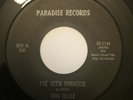 Dori Tellez - I've Seen Paradise 45 Rare Private Arizona Disco Modern Soul Hear