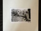 Sunn O))) ?White LP Box Set