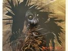 Protector Urm, The Mad Vinyl LP Metal