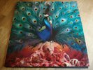 Opeth 2x LP Picture disc Sorceress 2016 Nuclear blast press UNPLAYED NEW ++++++