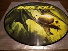 Super Rare Overkill Immortalis Picture Disc