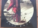 Kate Bush : The Red Shoes Remastered VINYL (2018) *brand NEW***