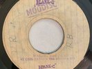 CARL BRYAN - WALKING THE DEAD - MOODISC ( SKINHEAD 7 )